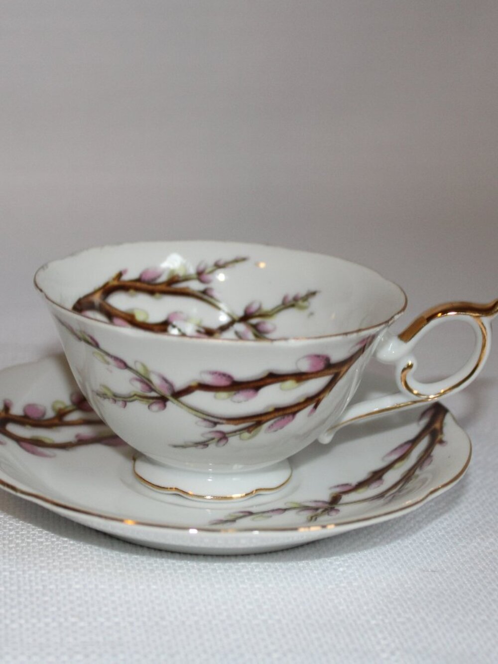 Noritake China Teacup & Saucer Set in Model 3/351 "PussyWillow"